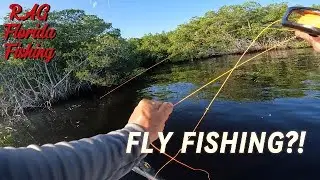 Catching Snook On Bridges and First Time Fly Fishing!!!