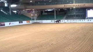 Peter Ljungberg Electric Eldorado 24 juni NRHA Breeders Derby Kreuth