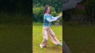 Final Lesson 3 Yang8 Tai Chi Sifu Tsui Tin Ying to Hawaii Taiji Health and Sports Association