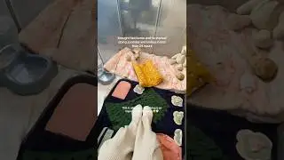 He started doing zoomies & binkys in less than 24 hours 🥹 why cage-free living is so important