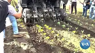 LogOn: Farmers Look to Technology to Help in Fields