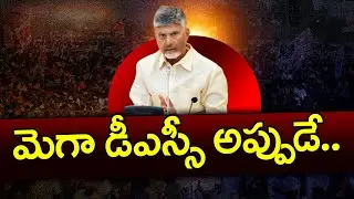 Chandrababu Govt Key Decision On AP Mega DSC : PDTV News