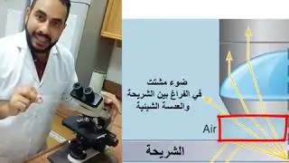 Microbiology: Microscope الميكروسكوب الضوئي المركب