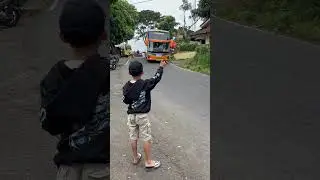 BASURI BUS TIVIDI #teloletbasuri #busmania