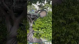 Pixie Hollow #disneyland #disneyparks #disneycharacters #tinkerbell #fairies