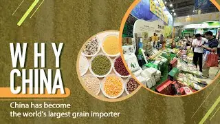 China has become the world's largest grain importer