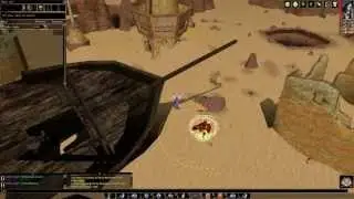 Neverwinter Nights, Team PvP Server: Alestorm LotR, Build 6: Monk(Kamas), Arena, 5, PvP, 28