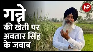 खोजी किसान सरदार अवतार सिंह की कुदरती गन्ने की खेती से जुड़े जवाब ll Sugarcane Farming || News Potli