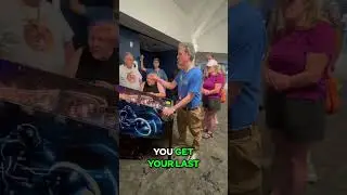 Mastering Multi-Ball Strategy Tips for Pinball Success with Risk Stetta 5 time world champion
