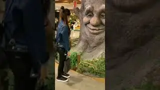 touching Tree man face....😃 #shorts #planetearth #treeman