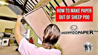 Sheep's Poo Paper