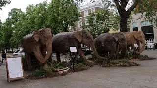 Every Inch Of London - KINGS ROAD , Chelsea , London SW3  UK