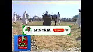 chathi ڈاکٹر خرشید۔غلام علی