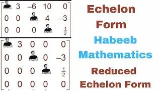 Echelon and reduced Echelon forms in matrices in urdu/hindi | Row Echelon Form