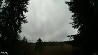 January 28, 2026 - Cloudy Pacific Northwest Skyscape Timelapse Video | 4K 60fps