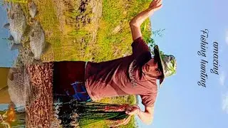 Unbelievable cast Nat fishing videos !catching lost of fish 🐠 🐟 by cast Nat fishing videos
