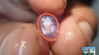 Ceylon Natural Pink Star Sapphire Rough Gemstone ( glass body type රතු ආරුනූල් )