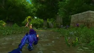 Walk through Northern Stranglethorn