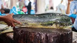 Big Monster Dolphin (Mahi-mahi) Fish Cutting Skills