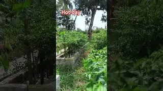 cuaca panas. #foryou #reels #fyp #shorts #shortsfeed #youtubeshorts #short #ytshorts #song #viral