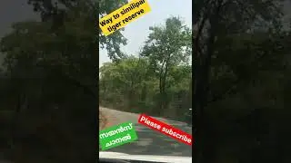 Rod Trip to the Enchanting Similpal National Park | Incredible India| Odisha Tourism| Simlipal Tiger