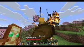 Flash Raid on Random Minecraft Server
