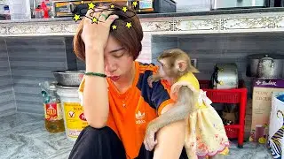 Monkey Kaka was worried when saw his mom had a headache.