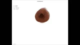 Real-Time Physically Based Fur and Hair Simulation
