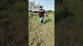 empangan timah tasoh