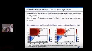 How rivers influence the Mediterranean dynamics?