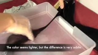 3H Hair - EURASIAN 100% Human Virgin Hair BLEACH TEST