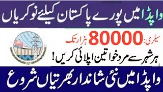 Wapda Jobs 2023- New government jobs