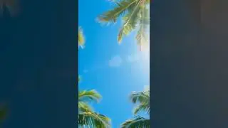 Run With Fire (Official EDM Anthem) | Epic Festival Drop | 2025