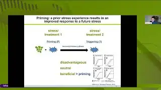 What&rsquo;s New in MPMI with Thomas Griebel