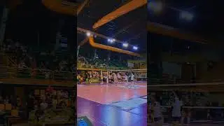 Setter Pro Player 2023 2024  #story #viral #leeday_19