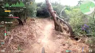 Majik Forest MTB - Forest Section [27 Dec 24]