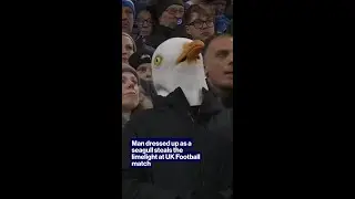 Man dressed up as a seagull steals the limelight at UK Football match