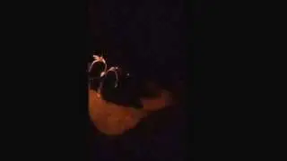 Jordon spours 6 clips