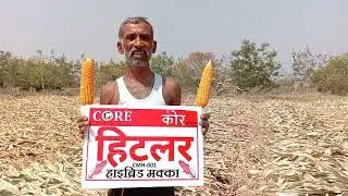 कोर सीडस/core Seed research private limited corp Maize Hitlar farmer happy
