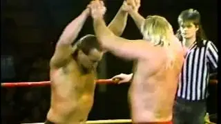 Lou Andrews v CW Bergstrom