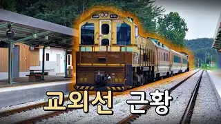재개통 7개월만에 운행 중단? 극한 호우에 당해버린 교외선 근황..