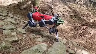Robot dog ANYmal takes a rough hike for research