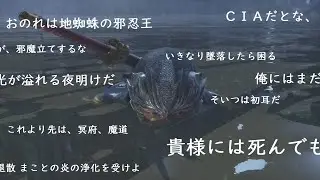 超忍 リュウ・ハヤブサ【NINJA GAIDEN 2 BLACK】