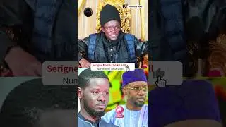dafay guene pire cii 2026 bi #sonko #seneweb #ousmanesonko #mackysall #tuneshipost