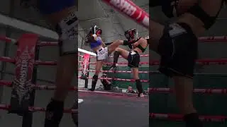 Muay Thai girls face kick!!  #muaythai #muaythaigirls #facekick #teepkick #frontkick #ko