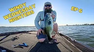 Windy Wednesday Nighters Ep 6 - Epic Frog Bite!!!