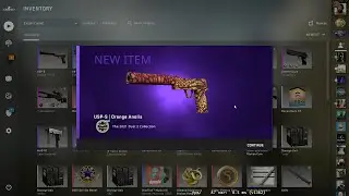 The 2021 Dust 2 Collection USP-S | Orange Anolis trade up