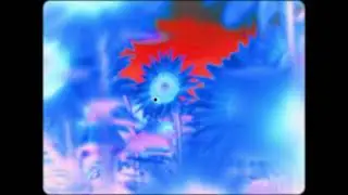 Complementary Colour Afterimage