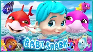 Baby Shark and the Treasure Hunt - Baby songs and Nursery Rhymes - Lolo Cartoon School Teather