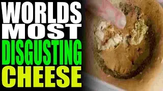 This is the Worlds Most DISGUSTING Cheese.